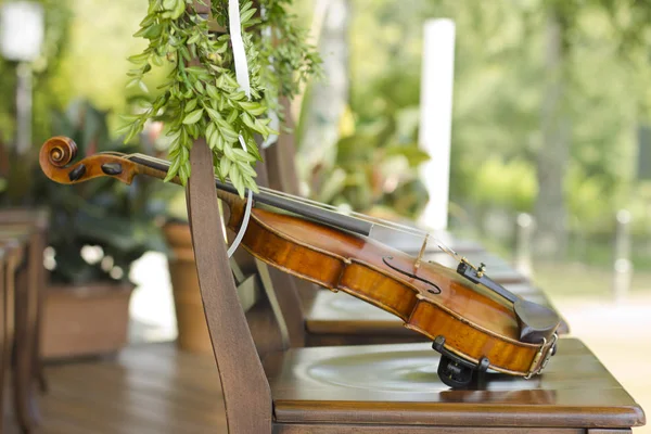 Violin Violin Utomhus Levande Musik Wedding Musician För Bröllop Fiol — Stockfoto