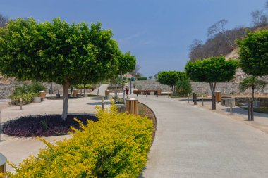 Güzel bir tropik yeşil park. Açık havada.