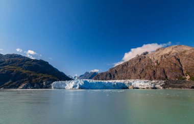 Alaska 'daki Buzul Körfezi. Alaska 'nın güzel manzarası