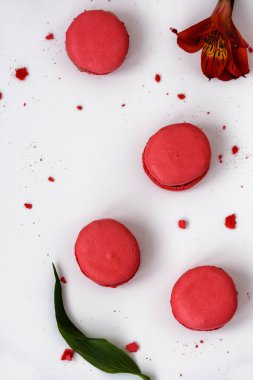 hafif bir arka plan üzerinde lezzetli makarnalar 