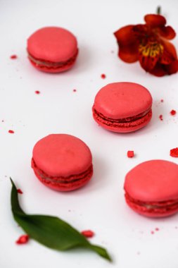 hafif bir arka plan üzerinde lezzetli makarnalar 