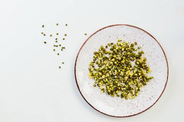 Bir tabakta çimlenmiş mung fasulye (püre). Açlık gıda