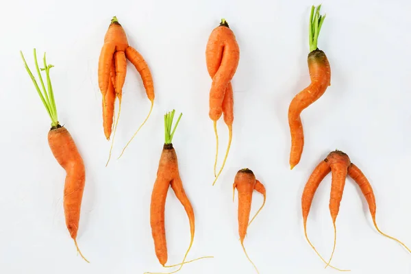 Ugly carrots on a white background. Ugly food concept, flat lay.