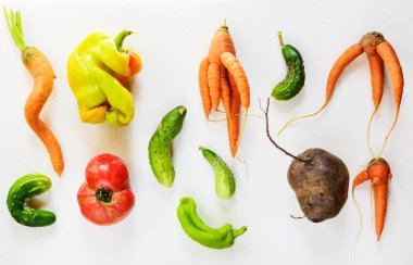 Beyaz bir arka planda çirkin sebzeler. Çirkin gıda kavramı, düz yatıyordu.