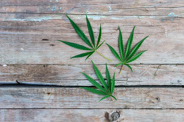 Cannabis Leaves Wooden Background — Stock Photo, Image