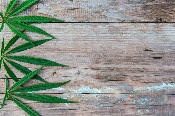 Cannabis Leaves Wooden Background Copy Space Flat Lay — Stock Photo, Image