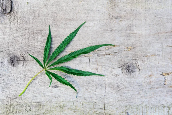 Cannabis Leaf Houten Achtergrond — Stockfoto