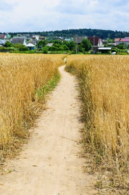 Köye giden alanda yol.