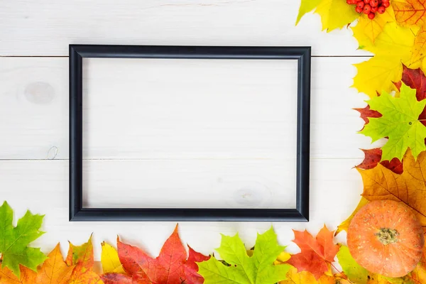 Feuillage Coloré Avec Cadre Feuilles Érable Tombées Sol — Photo