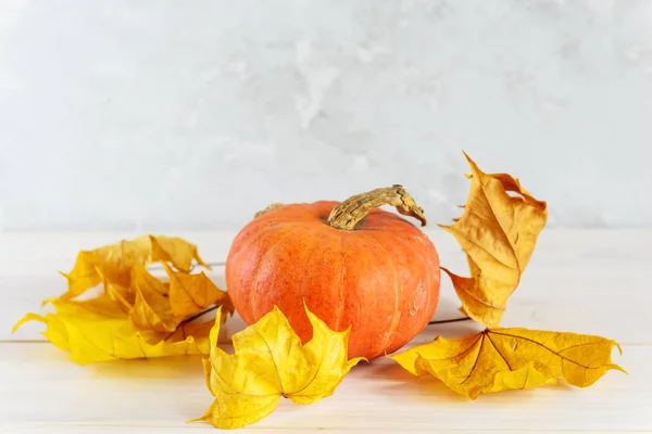 Citrouille Aux Feuilles Jaunes Sur Une Table Bois Blanc — Photo