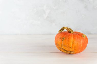 Beyaz ahşap bir masada çirkin balkabağı. Yatay yönelim, boşluğu kopyala.