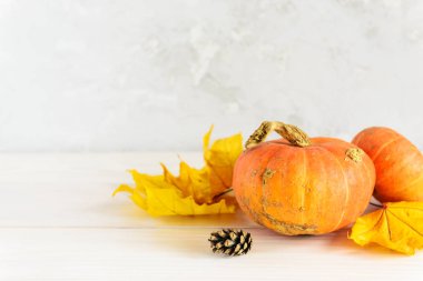 Beyaz ahşap bir masada sarı yapraklı çirkin balkabağı. Yatay yönelim, boşluğu kopyala.