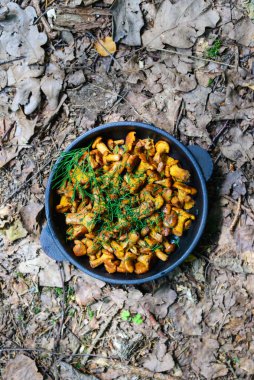 Dökülen yaprakların arka planına karşı dökme demir bir tavada kızarmış chanterelles. Dikey yönelim, üst görünüm.
