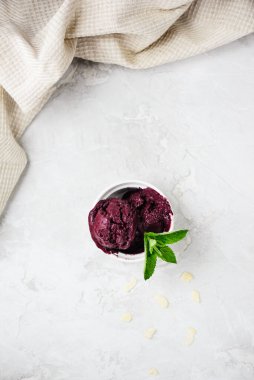 Hindistan cevizi sütü ve nane yapraklı yabanmersinli dondurma. Şeker ve laktozsuz. Dikey yönelim, üst görünüm.