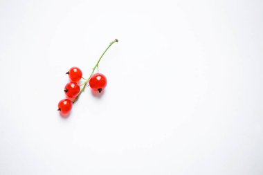 Fırça frenk üzümü yeşil dalgında ve dört kırmızı sulu büyük çilek üzerinde. Beyaz arka plan.