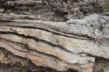 Taş doku - arka plan