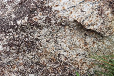 Taş doku - arka plan