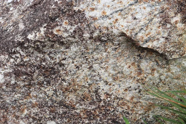 Textura de pedra - fundo — Fotografia de Stock