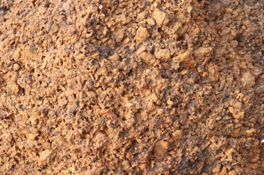 laterit taş doku - arka plan