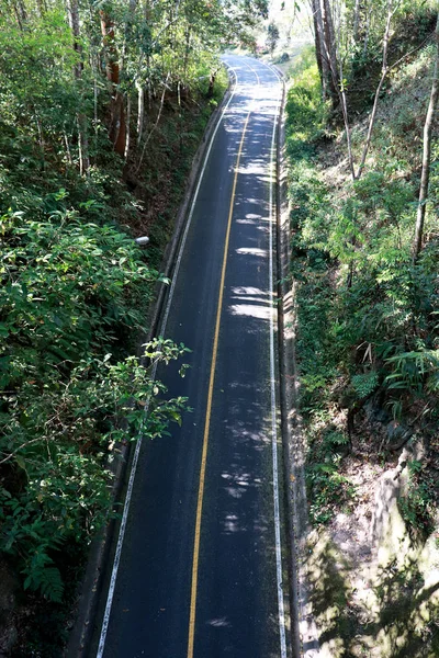 Ασφαλτοστρωμένος δρόμος στο τροπικό δάσος φόντο. Δρόμος στο Χαϊγκμά — Φωτογραφία Αρχείου