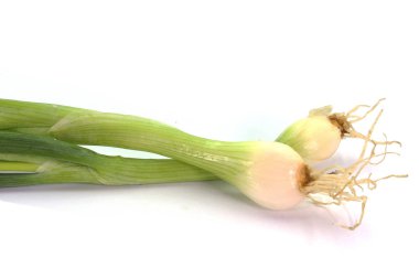 Yeşil soğan yeşil soğan soğan salatası soğan paket tüm kök 