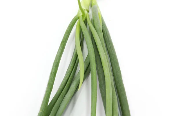 Scalogno cipolla verde cipollotto insalata cipolla fascio radice intera — Foto Stock
