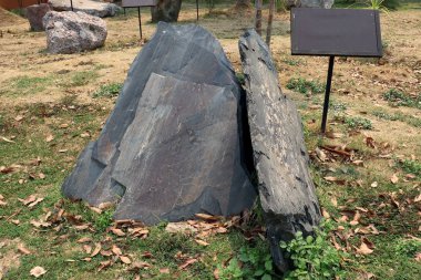 Kayrak taşı : ince taneli, foliyeli, homojen metamorf