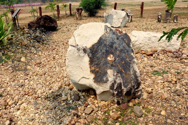 ryolite stone on ground field image background.