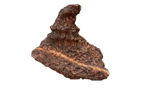 Beyaz arka planda izole edilmiş stromatolit taşı — Stok fotoğraf