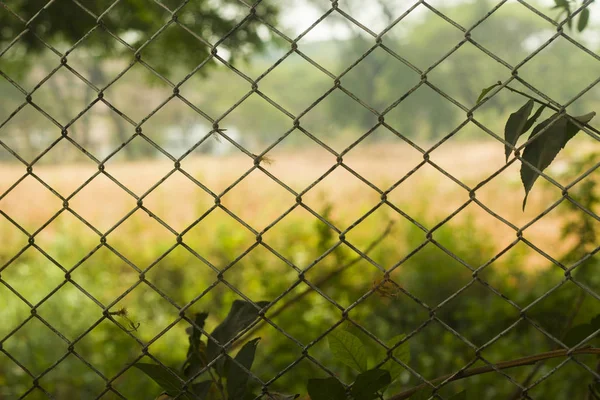 Bulanık rura ile kevgir tasarlanmış kablolu çelikten yapılmış çit — Stok fotoğraf