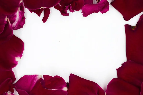 Group of Red Rose Petals, Frame,copy space back ground.