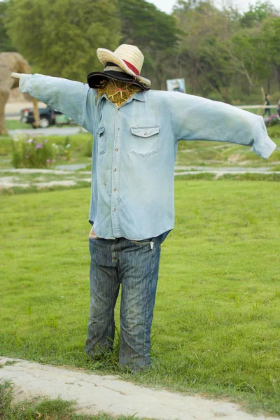 Scarecrow di sawah. Dibuat untuk menjaga ladang — Stok Foto