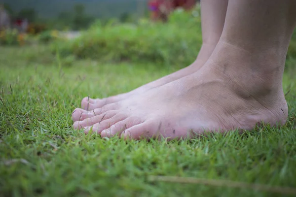 Passeggiata a piedi nudi della giovane donna sull'erba fresca e verde al sole — Foto Stock