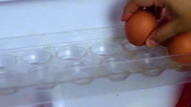El buzdolabında bir buzdolabı tepsi delik taze Yumurta alarak.