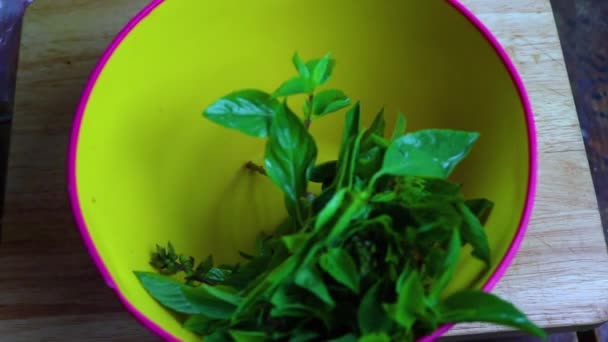 La mano femenina ponen hortalizas en la escudilla en la cocina. Cocinar verduras — Vídeo de stock