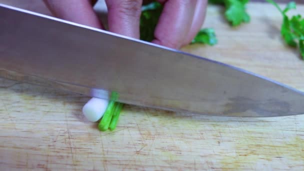 Bıçak ile ahşap kesme tahtası üzerinde alışveriş kişniş — Stok video