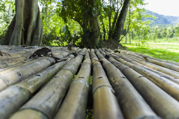 Recinzione in bambù Superficie esterna, recinzione ruvida in bambù pattern backgro — Foto Stock