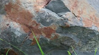 Andezit kaya, ara kompozisyon, porfiritik doku aphanitic ile ekstrüzyon igneous, volkanik kaya, bir.