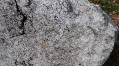 Feldspattaşı, yer sahasında yer kabuğunun ağırlık olarak yaklaşık %41'ini oluşturan kaya oluşturan tektosilikat mineralleri grubudur..
