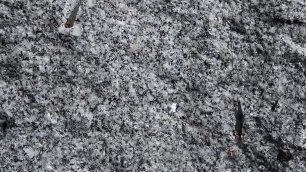Granit sten, fragment av granit på marken isolerad på vit bakgrund — Stockvideo