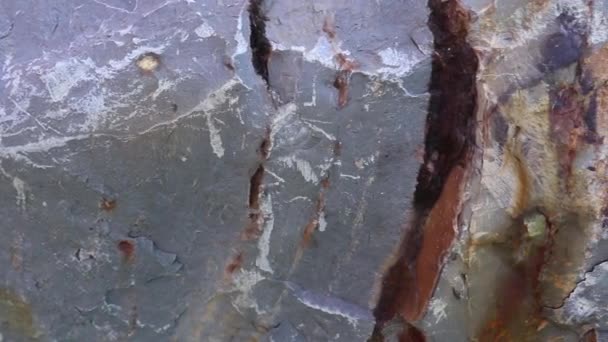 La pietra di scisto è una roccia sedimentaria fine a grana fine, clastica, composta da fango che è un mix di scaglie di minerali argillosi e minuscoli frammenti di altri minerali, sul terreno . — Video Stock