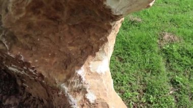 Mermer taş, zemin alanında yeniden kristalize karbonat minerallerinden oluşan metamorfik bir kayataşıdır..