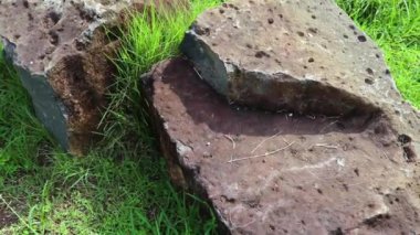 Bazalt taşı, karasal bir gezegenin yüzeyinde veya çok yakınında açığa çıkan magnezyum açısından zengin ve demir açısından zengin lavların hızlı soğumasından oluşan mafik bir dışavurumlu kayataşıdır.