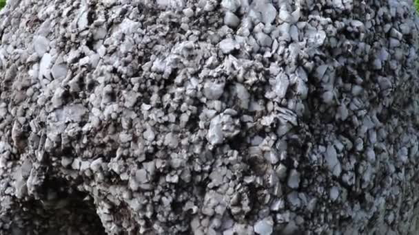 Calciet steen is een carbonaat mineraal en de meest stabiele polymorf van calciumcarbonaat, op grond veld. — Stockvideo