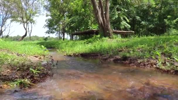 Stock video Forest river stream water slowly flow. Mossy river stream rocks. Mossy forest river stream view. Forrest river stream flow.