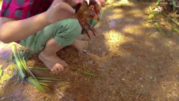 Діти грають босоніж у струмковій воді, грають у бруд і пісок . — стокове відео