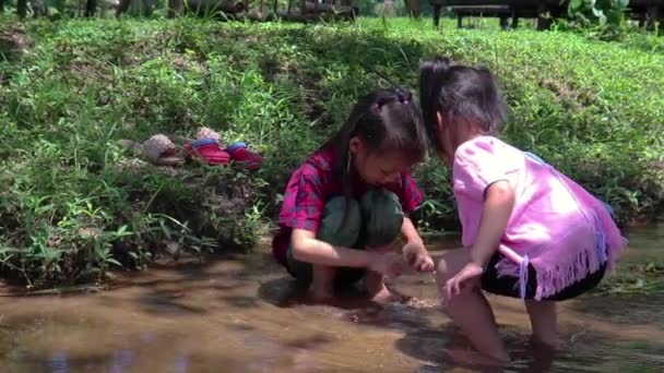 Children playing  barefoot in stream water, play mud and sand. — Stock Video