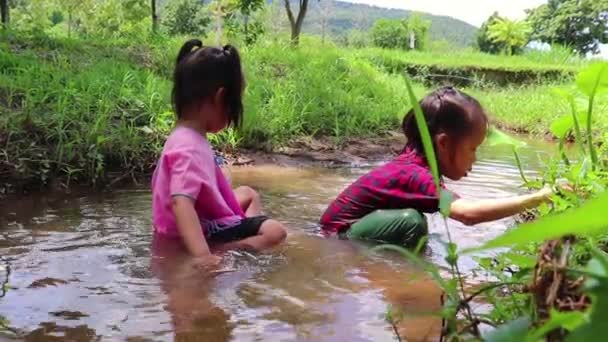 Enfants jouant pieds nus dans l'eau du ruisseau, jouer de la boue et du sable . — Video