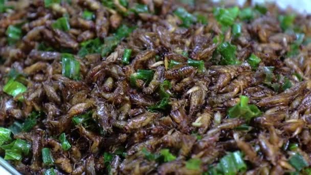 Жареные насекомые на улицах Чиангмай Роуд в Таиланде — стоковое видео
