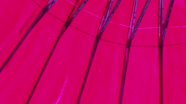 カラフルな生地で作られた傘,タイの工芸品ラナ傘,チェンマイタイ. — ストック動画
